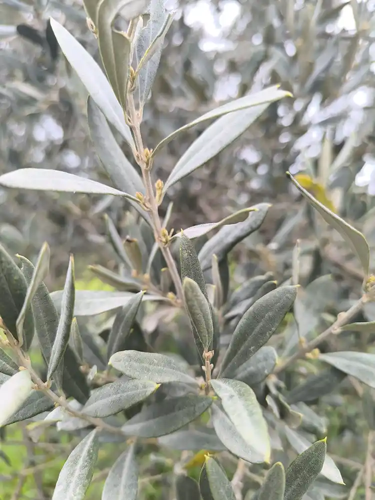 Tragos-Diary-150426-img-2