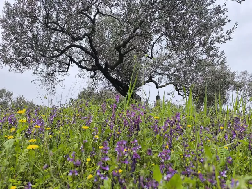 Tragos-Diary-150426-img-1